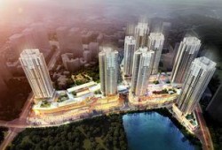 凤凰城市最新爆料,揭秘城市变革背后的故事