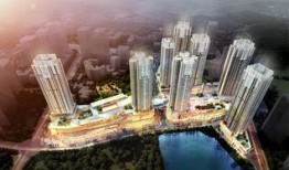 凤凰城市最新爆料,揭秘城市变革背后的故事
