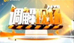 晋城电视台爆料视频大全,聚焦民生热点，揭示社会现象