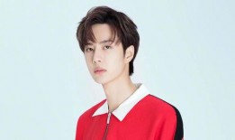 任嘉伦最新粉料爆料视频,幕后故事与幕后英雄