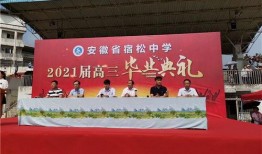 梦想高中在线观看,青春逐梦之旅，在线观看开启青春篇章