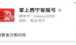 掌上吃瓜全文免费阅读