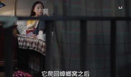 四大姐姐爆料视频在线观看,精彩瞬间在线观看汇总