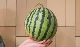 全网吃瓜免费看,免费观看尽享娱乐狂欢