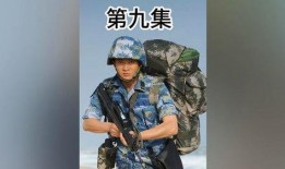 蒋小鱼被爆料视频大全,揭秘网络爆料的真相与影响