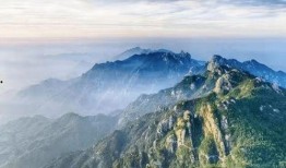 九华山导游爆料视频,带你走进神秘山巅的传奇故事