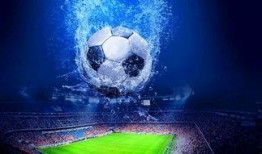 世界杯娱乐爆料网站,揭秘赛场内外精彩瞬间