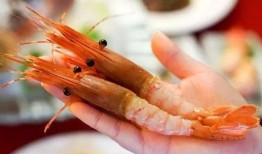 美佳加甜虾爆料视频完整版,完整版内容深度解析