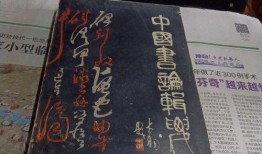 哈尔滨探店爆料视频大全,美食地图大揭秘！