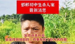 邯郸事件最新爆料,惊人内幕曝光，真相令人震惊！