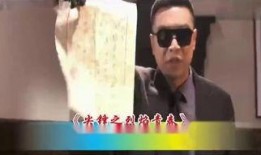 尖锋电视剧在线观看,揭秘特工风云，在线观看尽享悬疑刺激！