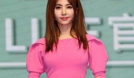 蔡依林老爸爆料视频大全,揭秘天后成长背后的温馨故事