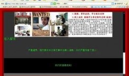 教师爆料真相视频播放下载,视频播放下载背后的秘密