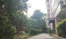 铜兴花园爆料最新消息今天,揭秘小区动态与神秘事件！