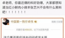 卓伟爆料娱乐圈主持人,揭秘娱乐圈主持人的不为人知一面