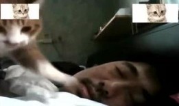 遂川爆料哥哥视频大全,哥哥视频大全揭秘幕后真相