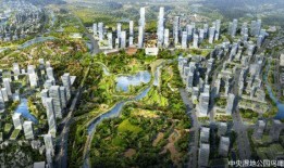 凤凰城市最新爆料,揭秘城市变革背后的故事