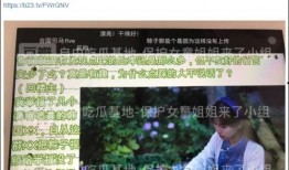 永秀花园爆料视频播放全集,揭秘事件全貌，真相大白