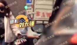 东京阿鸡爆料视频,一窥日本街头真实生活