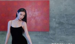倪妮娱乐圈爆料视频事件,真相与争议
