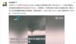 广东海哥爆料事件视频,揭秘事件背后真相
