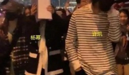 娱乐爆料劲爆视频,娱乐圈最新爆料大揭秘！