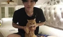 爆料鹿晗准备婚礼视频,甜蜜瞬间曝光