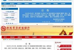 银行最新爆料,揭秘金融行业变革与风险挑战