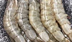 美佳加甜虾爆料视频完整版,完整版内容深度解析