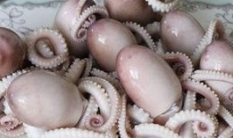 网红八爪鱼事件吃瓜视频,揭秘网络暴力与真相的较量