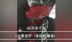 福建新闻广播爆料车主视频,惊险一幕引发关注