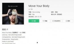 视频爆料音乐叫什么名字,神秘音乐背后的故事