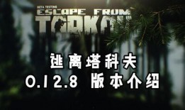 塔科夫最新版本爆料,惊心动魄的生存挑战与全新游戏体验