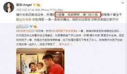 陈明文最新爆料视频播放,事件真相再引热议