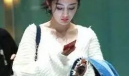 狗仔爆料清纯女星视频,狗仔爆料背后的真相揭秘