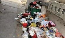 鲁山爆料最新消息今天,今日热点事件深度解析