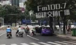 福建新闻广播爆料车主视频,惊险一幕引发关注