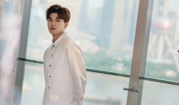 任嘉伦最新粉料爆料视频,幕后故事与幕后英雄