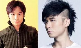 贵圈爆料免费吃瓜,免费吃瓜，揭秘明星幕后故事