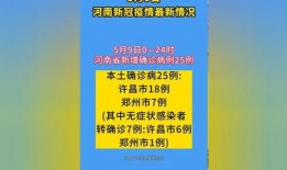 平顶山最新爆料实时疫情,实时数据揭示防控进展与挑战