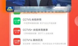 袁毅直播爆料视频大全下载,揭秘幕后真相与精彩瞬间