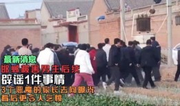 邯郸事件最新爆料,惊人内幕曝光，真相令人震惊！