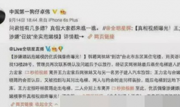 卓伟爆料王力宏视频,揭秘娱乐圈不为人知的秘密