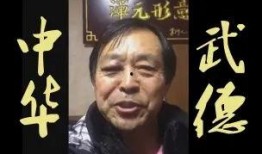马保国爆料竞技视频合集,揭秘武术大师的真实对决