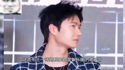 吃瓜娱乐演员表,揭秘明星阵容，带你走进娱乐圈风云变幻